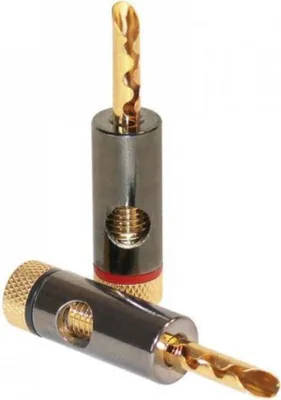 Image de Dynavox Banana Plug Ensemble Mâle - Plaqué Or - Rouge/Noir