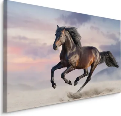 Produktbild von Fabelhafte Canvas LEINWAND BILDER 40x30 cm XXL Kunstdruck Tiere Pferd Wüste Himmel