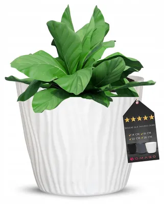Image de OMAGO Grande jardinière moderne blanc 28 cm