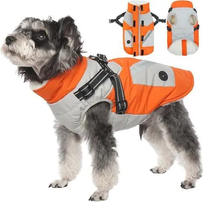 Produktbild von Famanu Hundejacke 2-in-1 mit integriertem Geschirr - für kleine bis große Hunde