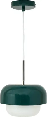 A pendant light fixture against a white background.