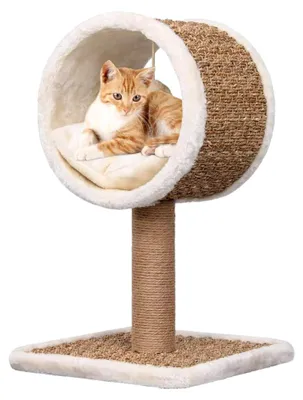 Produktbild von Katzenkratzbaum mit Tunnel und Spielzeug 56 cm aus Seegras