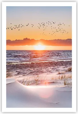 Produktbild von Poster - Poster ohne Rahmen - Sonne Strand Vögel - 61x91,5 cm - Wand Bild - Wanddeko - Wandbilder - Kunstposter - Wandposter - Bilder - Kunstdruck - Wanddekoration - Wandbild - P2XPA61x91-4727