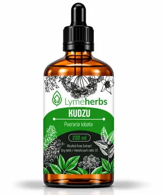 Imagen del producto de Pueraria lobata (kudzu), extractos no alcohólicos (200ml), Imagen generada por IA