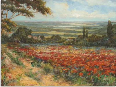 Produktbild von ARTland Wandbild Alu für Innen & Outdoor Weg am Mohnfeld Größe: 60x45 cm