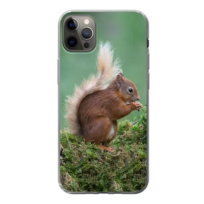 Produktbild von MuchoWow® Handyhülle Schutzhülle Hülle für iPhone 13 Pro Max Waldtier - Eichhörnchen - Moos Silikon Softcase Handy Hülle - Mobiltelefon
