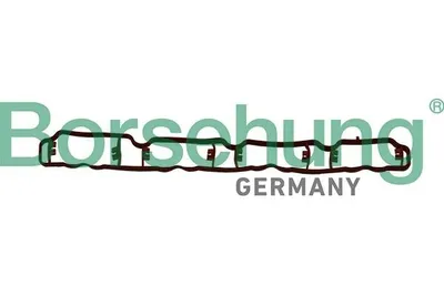 Produktbild von Borsehung B19250 Ansaugkrümmer-Dichtung für VW GOLF VI (5K1) Golf V Schrägheck (1K1) Polo Schrägheck (6R1, 6C1) TIGUAN (5N) Passat Variant (3C5)