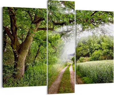 Produktbild von Bild auf Leinwand - Leinwandbild - Pfad Natur Wald Grün - 95x80cm - Wand Bild - Wanddeko - Leinwanddruck - Bilder - Kunstdruck - Wanddekoration - Leinwand bilder - Wandkunst - CB95x80-2637