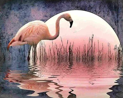 Image de Kit de peinture par numéros, motif flamant rose, dimensions 40x50 cm