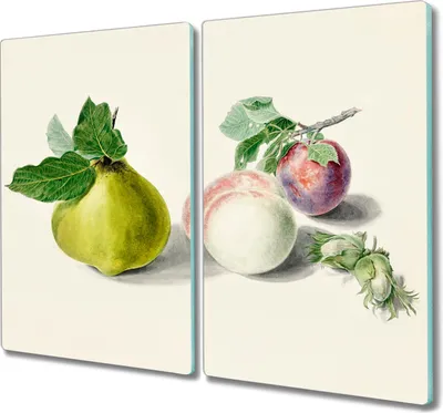 Produktbild von Coloray Küchenbrett Kochplattenabdeckung Hackbrett Schneidebrett Herdabdeckplatte 2x30x52 cm - Fruchtzweig Blätter