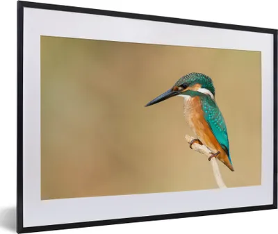 Produktbild von MuchoWow® Gerahmtes Poster Eisvogel - Tiere - Vogel 60x40 cm - Poster mit Schwarzem Bilderrahmen Wandposter Rahmen Foto Bilder - Schlafzimmer - Plakat in Rahmen - Drucken