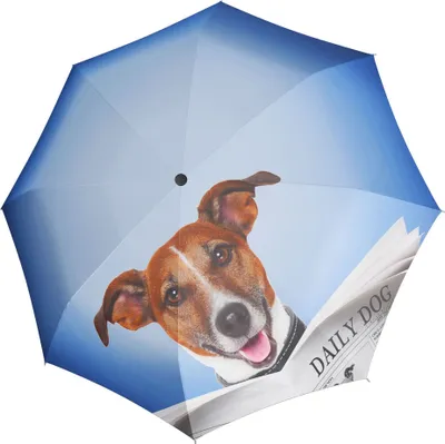 Image de doppler parapluie de poche parapluie Modern.Art Magic Mini Daily Dog pourpre multicolore