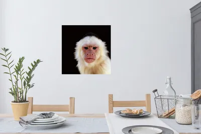 Produktbild von MuchoWow® - Selbstklebend - Fototapeten