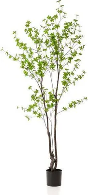 Zdjęcie produktu dla Sztuczna roslina Tropaeolum speciosum - wisnia wschodnioindyjska, 210cm
