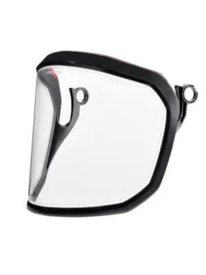 Produktbild von Protos Integral Clear Visier