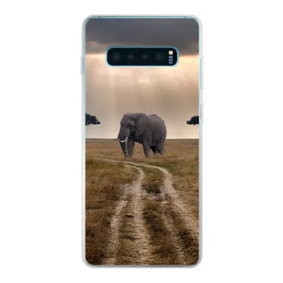 Produktbild von MuchoWow® Handyhülle Schutzhülle Hülle für Samsung Galaxy S10 Plus Elefant - Tiere - Wiese - Sonne Silikon Softcase Handy Hülle - Schutzhülle