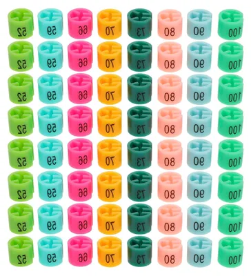 Produktbild von 160 Stück farbige Größenetiketten für Kleiderbügel zur Organisation von Kleidung