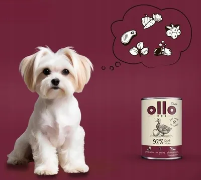 Immagine prodotto di Cibo umido per cani OLLO Pure, con anatra e mela - 850 g