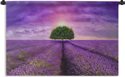 Produktbild von MuchoWow® Wandteppich Wandbehang Lavendel - Baum - Lila - Wolken 60x40 cm Tapisserie Dekoration Wandtuch - Wanddekorationen