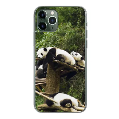 Produktbild von MuchoWow® Handyhülle Schutzhülle Hülle für iPhone 11 Pro Pandas - Holz - Treppe Silikon Softcase Handy Hülle - Handy