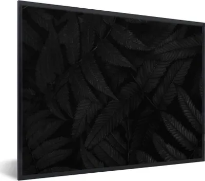 Produktbild von MuchoWow® Gerahmtes Poster Blätter - Schwarz - Weiß - Pflanzen - Botanisch 80x60 cm - Poster mit Schwarzem Bilderrahmen Wandposter Rahmen Foto Bilder - Schwarzem - Mit Gestell