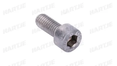 Produktbild von DRESSELHAUS Zylinderschraube "3357" Innensechskant 6 x 14 mm, VE: