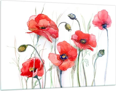 Produktbild von Bilder auf glas - Blume Mohn Wiese - 120x80cm - Glasbilder - Wandbilder - Kunstdruck - zum Aufhängen bereit - Wanddekoration aus Glas - Glas Bilder - Wandbild auf Glas - Einteilig - GAA120x80-3584