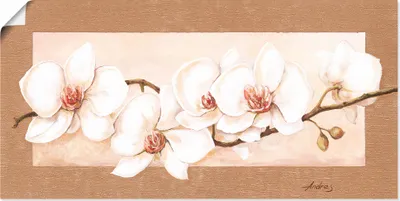 Produktbild von ARTland Poster Orchideenzweig Größe: 100x50 cm