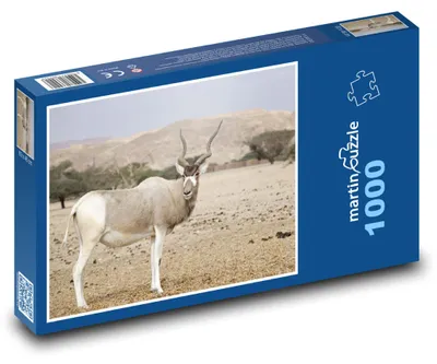 Produktbild von Puzzle 1000 Antilope in der Wüstenlandschaft - martinpuzzle