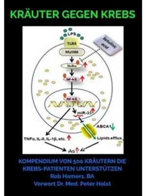 Produktbild von Buch: Kräuter gegen Krebs – Wissenschaftlich fundiert, fördert Apoptose, mit Ernährungstipps