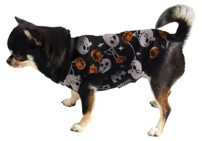 Obrázek produktu pro Killstar Hundetop - Strašidelná dýně XXL
