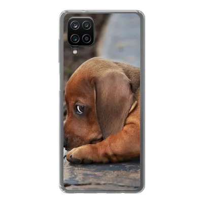 Produktbild von MuchoWow® Handyhülle Schutzhülle Hülle für Samsung Galaxy A12 Dackelwelpe liegt am Rande des Bürgersteigs Silikon Softcase Handy Hülle - Bild