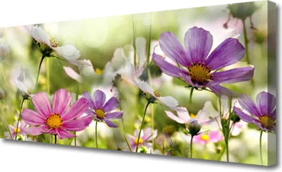 Produktbild von Tulup Leinwand-Bilder 125x50 Wandbild Canvas Kunstdruck Blumen Natur