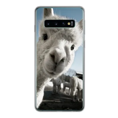 Produktbild von MuchoWow® Handyhülle Schutzhülle Hülle für Samsung Galaxy S10 Alpaka - Weiß - Tier Silikon Softcase Handy Hülle - Handytasche