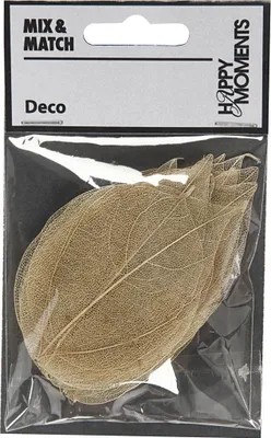 Image de Feuilles de squelette Feuilles séchées naturelles, 20pcs.
