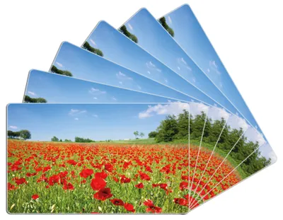 Produktbild von Wallario Frühstücksbrettchen 6er Set aus Glas, je 14 x 23 cm, mit rutschfesten Füßen, Motiv Mohnblumenfeld- rote Blumen unter blauem Himmel