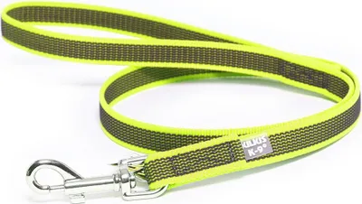 Produktbild von Julius K-9 Rubberized 20 Mm Führleine Gelb 120 cm Gelb 120 cm