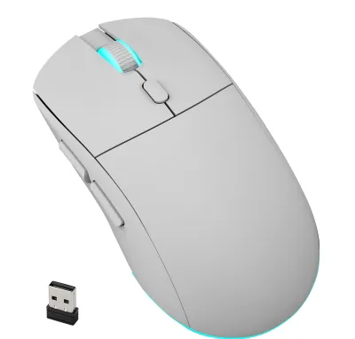 A light gray wireless computer mouse with a blue illuminated scroll wheel and a USB receiver is shown against a white background.