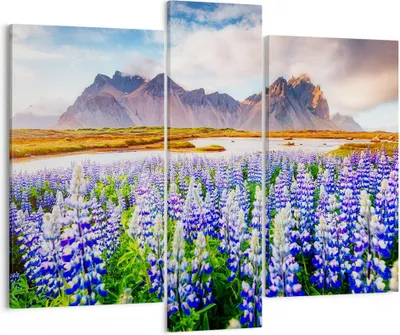 Produktbild von Bild auf Leinwand - Leinwandbild - Berge Wiese Blumen - 95x80cm - Wand Bild - Wanddeko - Wandbilder - Leinwanddruck - Bilder - Kunstdruck - Wanddekoration - Leinwand bilder - Wandkunst - CB95x80-4114
