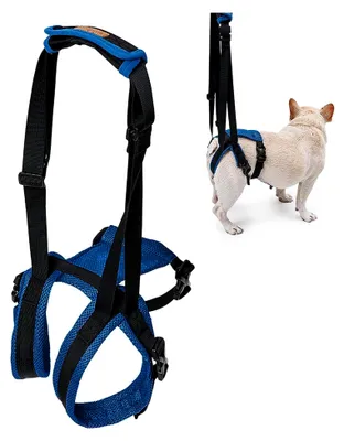 Produktbild von Hunde-Hilfsgeschirr für Hinterbeine mit Griff, verstellbare Unterstützung für die Mobilität von Hunden, geeignet für ältere, behinderte und hinterbeinlähmte Hunde L