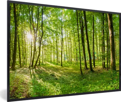 Produktbild von MuchoWow® Gerahmtes Poster Natur - Bäume - Wald - Grün - Sonnenlicht 60x40 cm - Poster mit Schwarzem Bilderrahmen Wandposter Rahmen Foto Bilder - Printing - Wanddeko Schlafzimmer