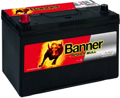 Image de Banner P9505 Power Bull 12V 95Ah 740A batterie de voiture