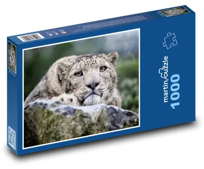 Zdjęcie produktu dla martinpuzzle - Puzzle 1000 elementów - Lewopard