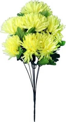 Imagen del producto de Ramo con 7 crisantemos artificiales verdes. Altura: 62 cm
