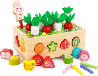 Immagine prodotto di Giocattoli Montessori per bambini dai 1, 2 e 3 anni - 1 giocattolo in legno per bambini di 2 anni