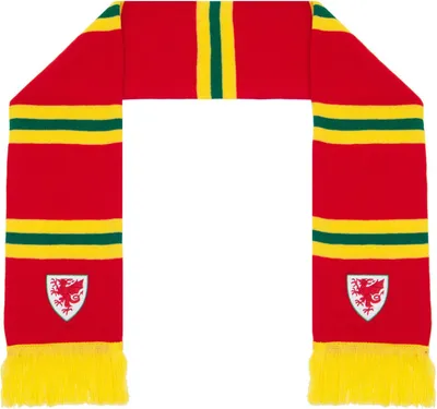 Image de FA Wales - Écharpe GF932 (Taille unique) (Rouge/Jaune/Vert)