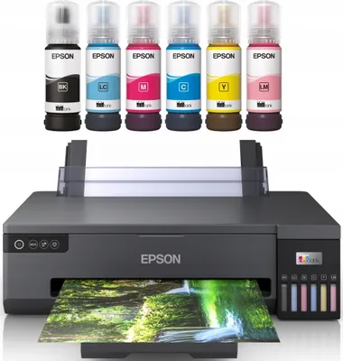 A printer with ink bottles and a printed photo.