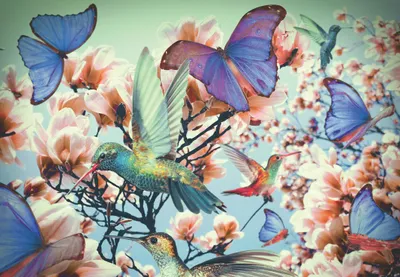 Produktbild von Kolibri Ravensburger 12969