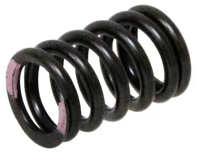 Image de ressort de la soupape d'admission pour Kawasaki KXF 250 (modèles de 2011 à 2016) - Psychic MX-09539IS