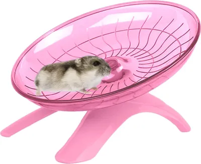 Produktbild von Hamster Flying Saucer Silent Running Exercise Wheel for Gerbil, Rat, Mouse, Igel Small Animals